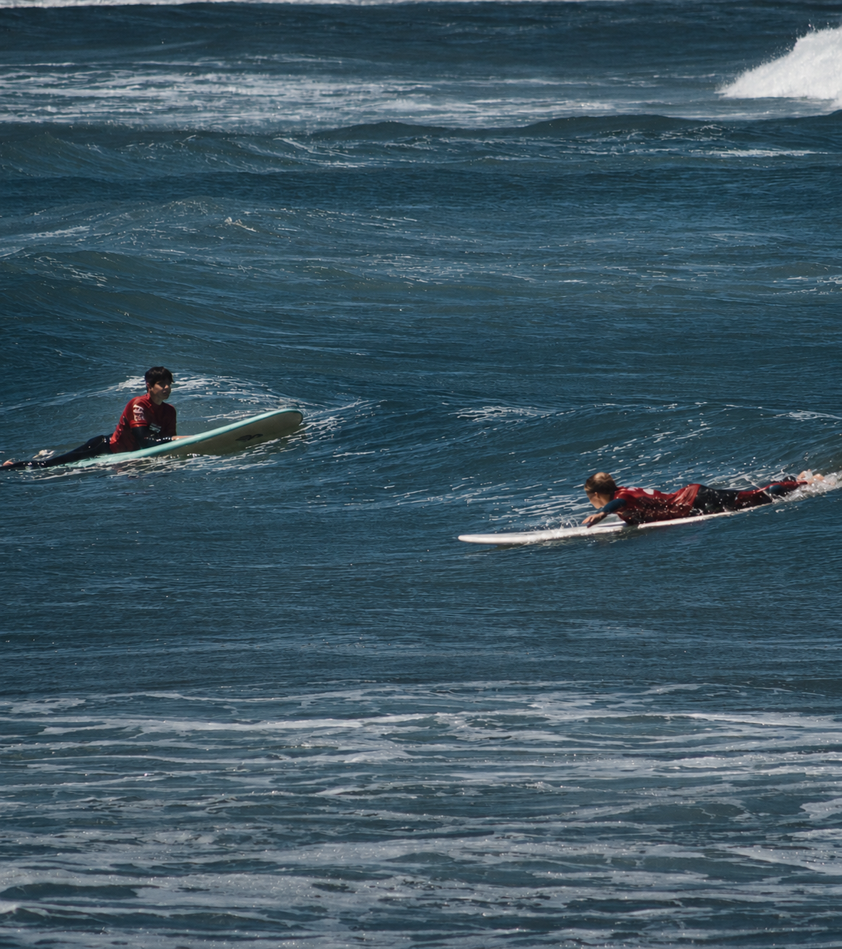 Two surfers paddling on longboards, wide ocean, community
